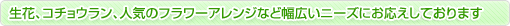���ԁA�R�`���E�����A�l�C�̃t�����[�A�����W�ȂǕ��L���j�[�Y�ɂ��������Ă���܂�